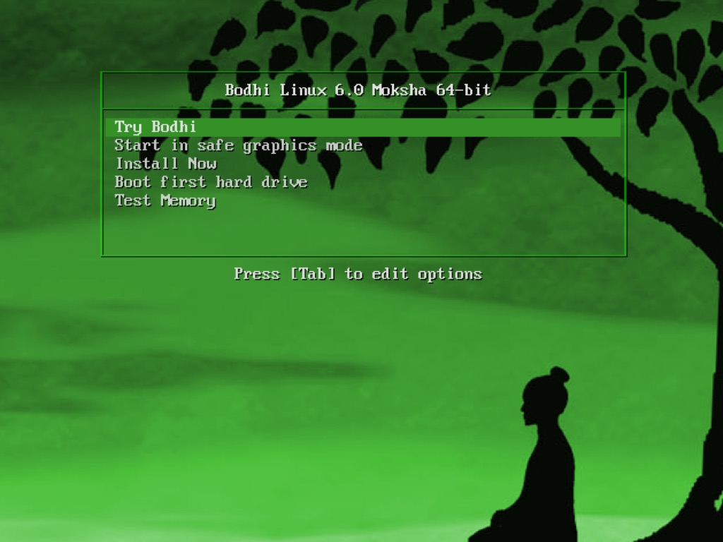 Bodhi Linux 6.0 installation guide
